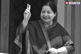 Case, documents submission, man claims himself to be jayalalithaa s son hc threatens to put him in jail, J krishnamoorthy