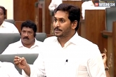 75% jobs for locals bill, 75% jobs for locals in AP, 75 jobs for locals says ap government, Job