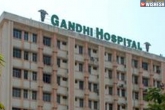 Resident Medical Officer, Flash Strike, junior doctors at gandhi hospital resort to flash strike, Flash strike