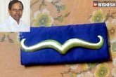 Tirupati temple, Tirupati temple, kcr to offer gold moustache worth rs 75 000 to karavi swamy temple, Moustache