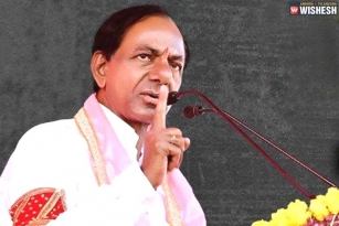 Welfare is the USP of TRS Says KCR