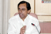 KCR, Telangana news, kcr focussed on telangana drug racket, Telangana drug mafia