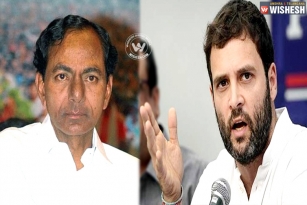 KCR gone, Rahul &#039;Don&#039;?