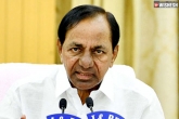 KCR, KCR paddy procurement latest, kcr plans to intensify protests on centre s paddy procurement, Up protests