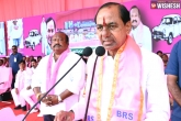 KCR election campaign, Telangana Congress, kcr slams congress for their comments on dharani, Campaign