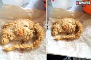 KFC serves Rat instead of Chicken!