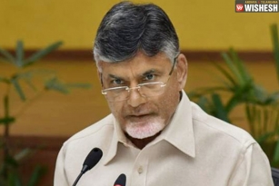 Historic Day For AP: Babu To Launch KIA&#039;s Trial Production