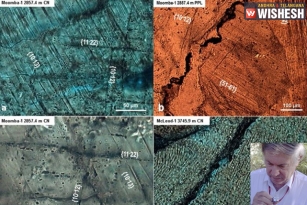 Largest asteroid impact zone