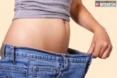 Belly Fat latest updates, Belly Fat foods, how to lose your belly fat, Belly fat