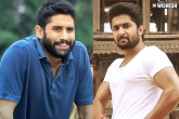 Tollywood new movies, Tollywood, tollywood gearing up for a packed august, Tollywood business