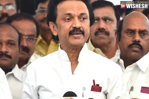 MK Stalin Demand Probe Jallikattu Agitation