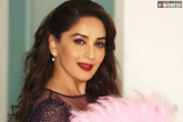 Sridevi biopic actress, Sridevi biopic latest, madhuri dixit to reprise sridevi in her biopic, Madhuri