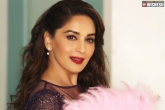 Madhuri Dixit, Sridevi biopic, madhuri dixit to reprise sridevi in her biopic, Anil kapoor