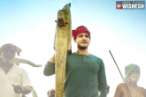 Mahesh Babu, Maharshi collections, maharshi first week collections, Vamshi