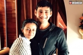 Mahesh Babu, Mahesh Babu new, mahesh not interested in politics says namrata, Namrata