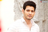 Mahesh Babu latest, Mahesh Babu, spyder is a film that i couldn t refuse says mahesh, Murugadoss