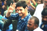 Mahesh Babu next, Bharat ane Nenu, mahesh says no to an item song, Item song