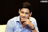 Mahesh Babu updates, Mahesh Babu news, superstar signs his next, Superstar