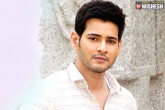 Mahesh Babu latest updates, Mahesh Babu latest, india s top cinematographer for mahesh s next, Mahesh babu latest updates