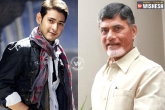 AP, Chandrababu Naidu, mahesh obeyed ap cm request, Maheshbabu