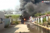 Vindhya Organics loss, Vindhya Organics loss, major fire accident in vindhya organics hyderabad, Fire mishap