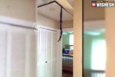 Greenwood, Greenwood, man finds two snakes hanging from ceiling videos goes viral, Ceiling