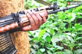 Maoist Couple Surrenders, Kunjam Bhadramma, maoist couple surrenders before asp in telangana, Telangana police