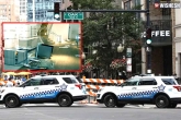 Chicago Mass Looting, Chicago Mass Looting pictures, mass looting in chicago 100 people arrested, Chicago