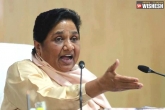 BSP, Alwar rape case, alwar gangrape case mayawati slams narendra modi, Alwar gangrape case