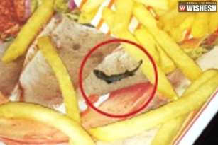 McDonald&rsquo;s New Fry: Lizard Deep Fry!