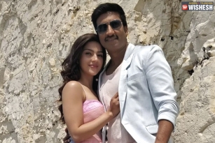 Mehreen Locked to Romance Gopichand