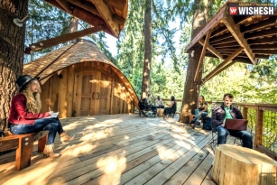 Microsoft Builds Treehouse Office For Its Employees