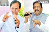 special status, Andhra pradesh, kcr makes tall claims like a sheik chilli congress leader, Chilli