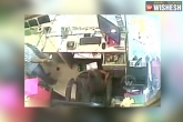 jewelry shop, Guntur, monkey steals rs 10 000 cash from jewelry shop in guntur, Jewelry