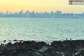 Mumbai beaches for holiday, Kelva Beach, best beaches to visit in mumbai, Travel