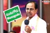 Munugode bypoll for TRS, Munugode bypoll for TRS, munugode bypoll to take place in november, Election campaign