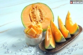 Muskmelon latest, Muskmelon new updates, muskmelon and its incredible benefits, Ibl