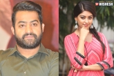 NTR news, Trivikram, tarak to romance anu emmanuel, Ntr new film