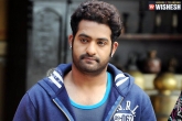 NTR movie updates, NTR updates, ntr s next film titled, Rathnavelu