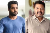 NTR and Shankar discussion, NTR new project, buzz ntr and shankar film on cards, Dil raju