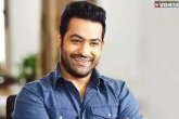 NTR upcoming projects, NTR next films, ntr to host a reality show for gemini tv, Reality tv show