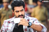Jr. NTR new movie, NTR movie, jr ntr movie flop here blockbuster there, Nannaki prematho