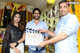 Sithara Entertainments, Naga Chaitanya news, chaitu s next launched, Chaitu