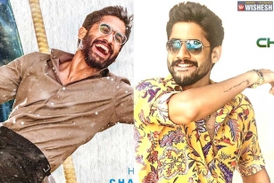 Naga Chaitanya Ready With Two Releases