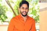 Anu Emmanuel, Naga Chaitanya film, top music composer for chaitu s next, Gopi sundar