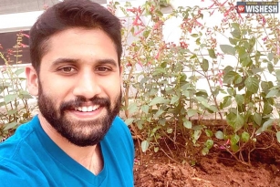 Naga Chaitanya to Surprise in Three Shades