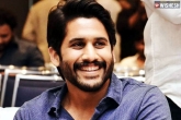 Naga Chaitanya next film, Naga Chaitanya new film, naga chaitanya s next project finalized, Vikram kumar