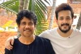 Nagarjuna next film, Nagarjuna next film, nagarjuna and akhil to join hands for a multi starrer, Akhil akkineni