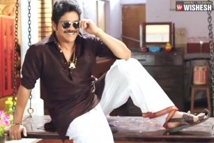 Nagarjuna Signs Bangarraju