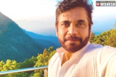 Raid remake, Nagarjuna next film, nagarjuna signs a bollywood remake, Nagarjuna next film